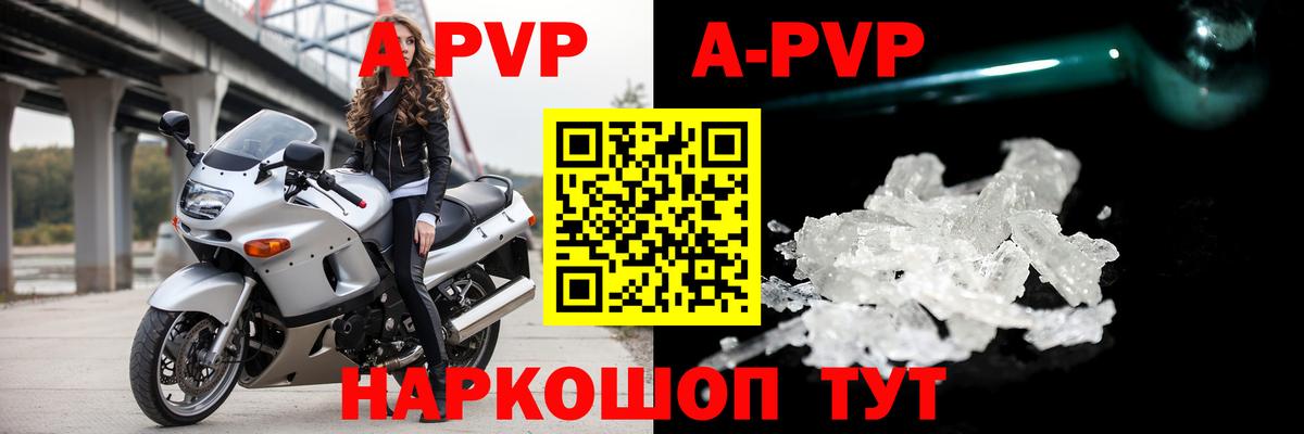 Альфа ПВП СК Людиново