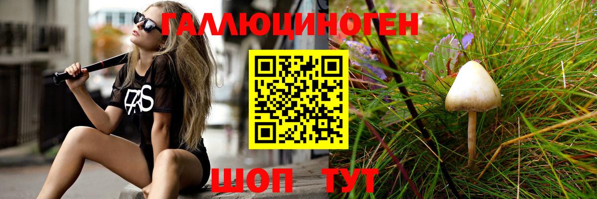 Псилоцибиновые грибы прущие грибы Людиново
